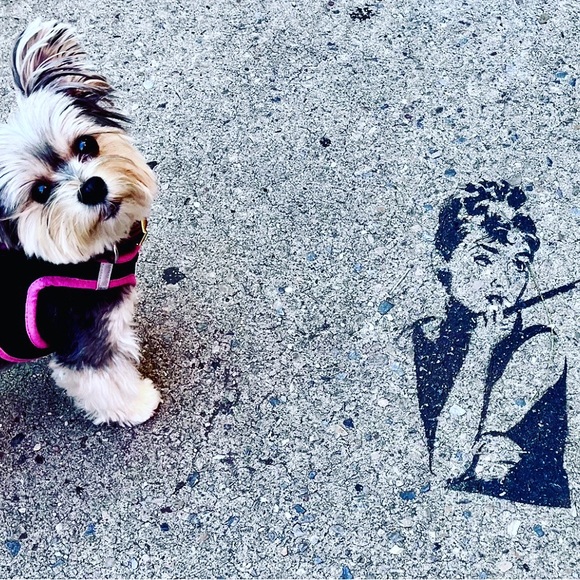 Meet your Posher - Picture 1 of 2